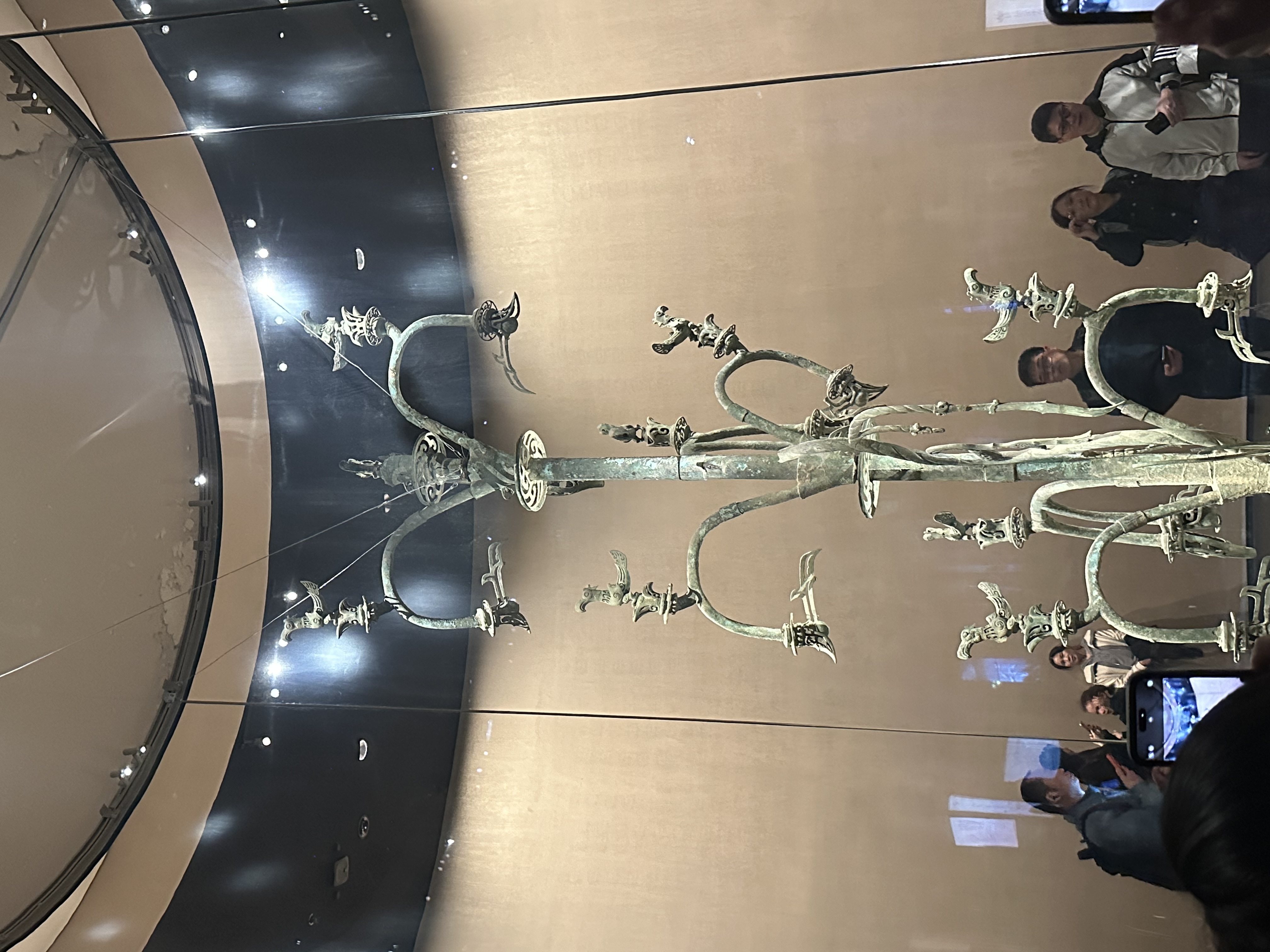 IMG_7558.jpeg