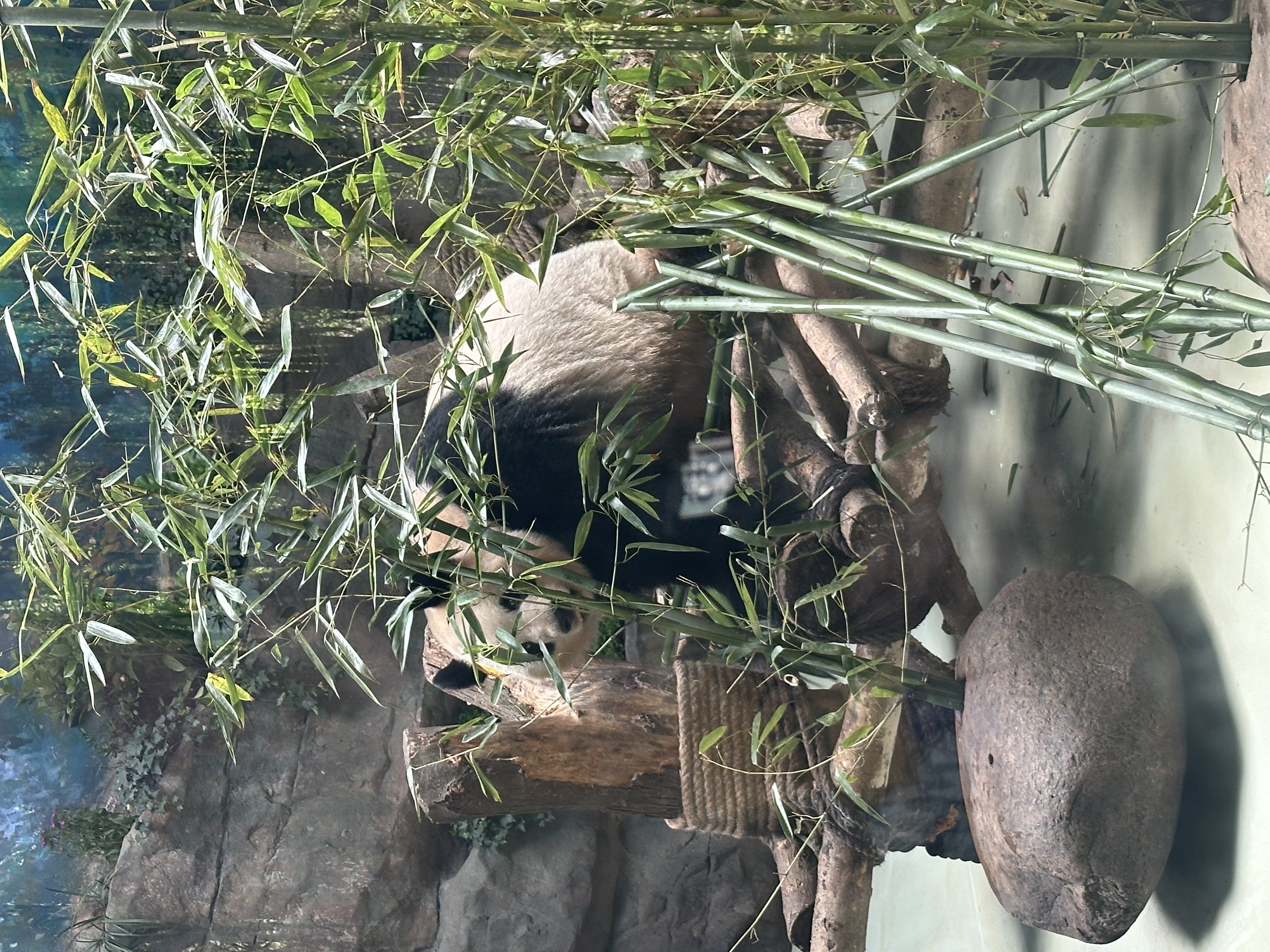 IMG_7340.jpeg