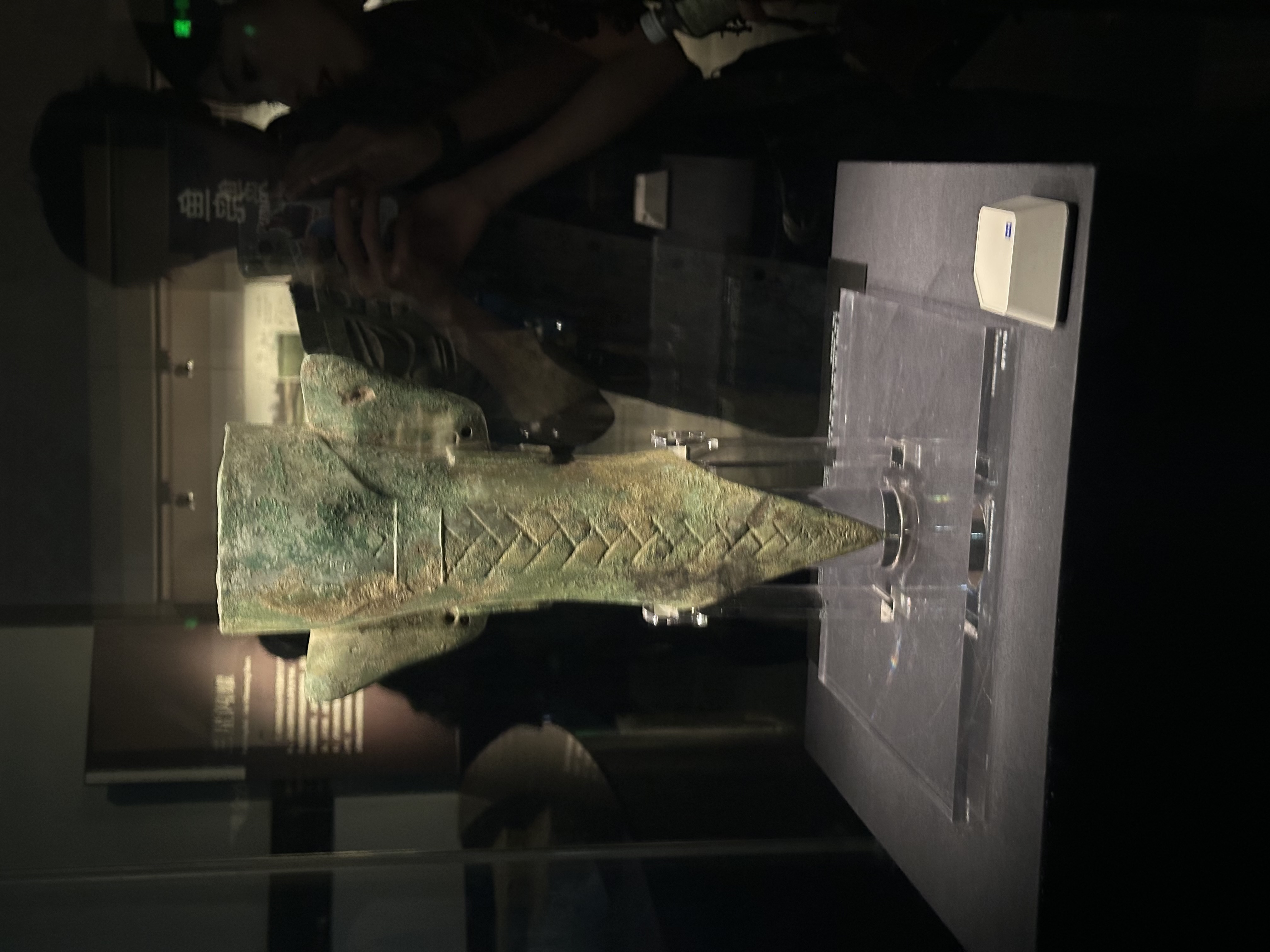 IMG_7236.jpeg