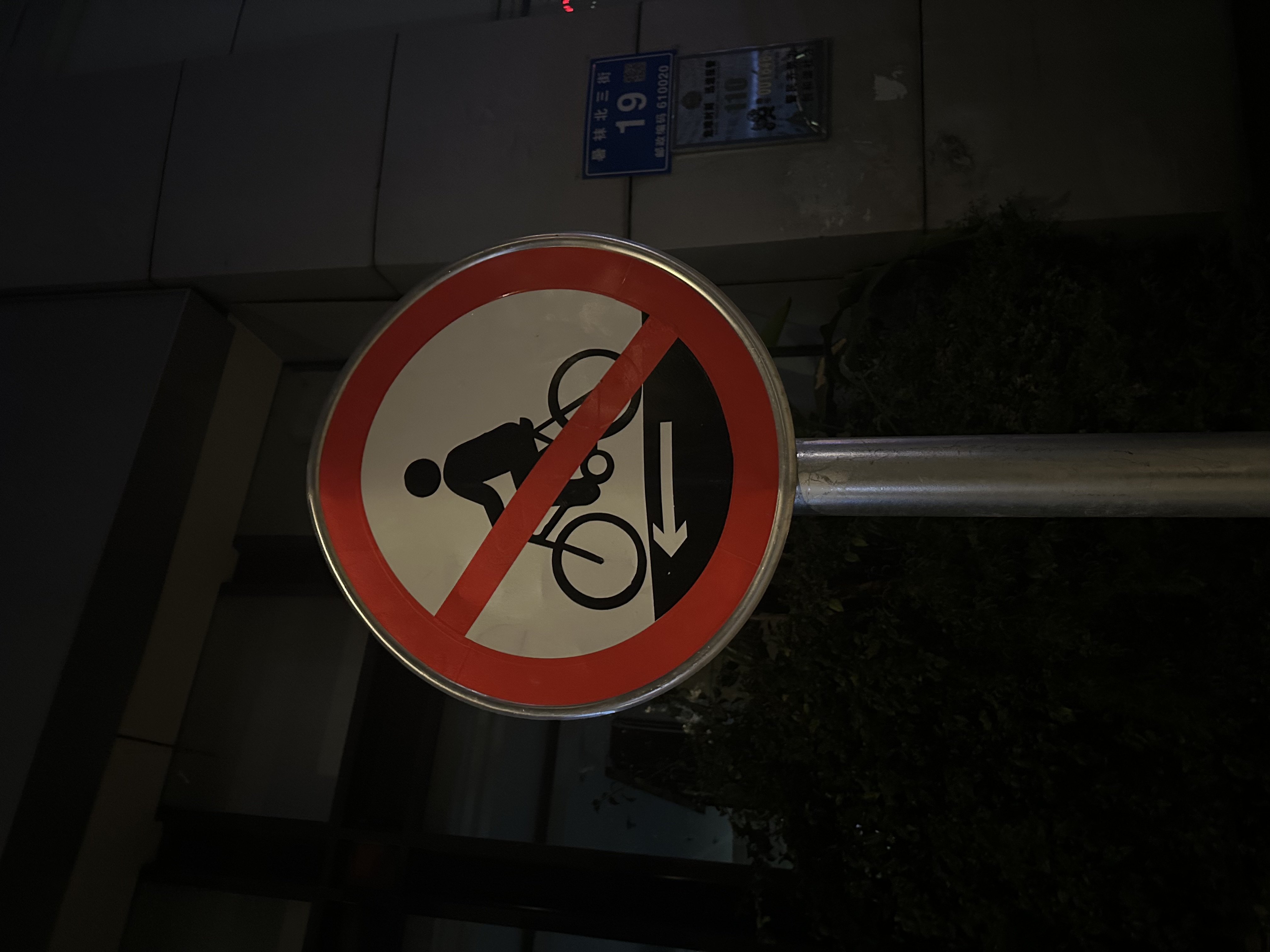 IMG_7217.jpeg
